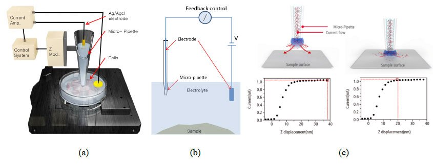 Figure 1: The snapshots showing the (a) SICM hardware setup, (b) circuit mechanism and (c) current-distance relationship between the pipette end and the sample surface. 