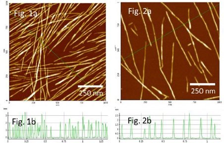 Cellulose-nanowhiskers--