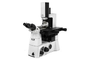 Atomic Force Microscope NX12