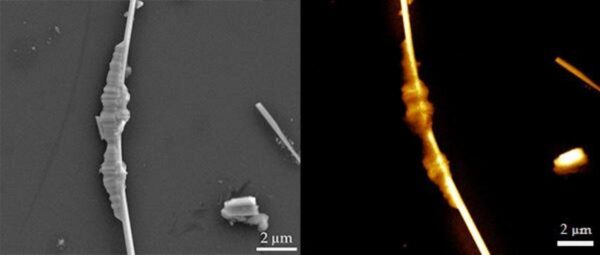 csm_AN-RA90-Multimodal_spectroscopy_techniques_for_nanostructured_materials_characterization_0a14822159